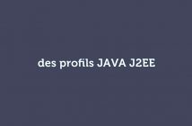 des profils JAVA J2EE