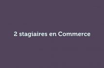 2 stagiaires en Commerce