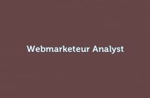 Webmarketeur Analyst