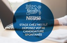 Stage-Nestle-candidature