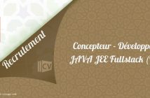 Concepteur - Développeur JAVA JEE Fullstack