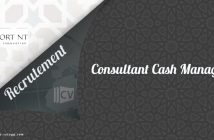 Consultant Cash Management