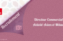 Directeur Commercial activité Aciers et Métaux