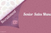 Senior Sales Manager