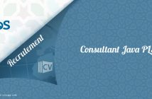 Consultant Java PLSQL