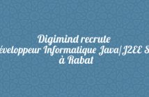 Développeur Informatique Java/J2EE Sénior