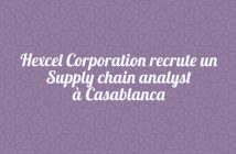 Hexcel-Corporation-recrute-un-Supply-chain-analyst--Casablanca