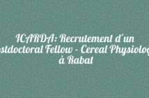 ICARDA: Recrutement d'un Postdoctoral Fellow - Cereal Physiologist à Rabat