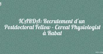 ICARDA: Recrutement d'un Postdoctoral Fellow - Cereal Physiologist à Rabat