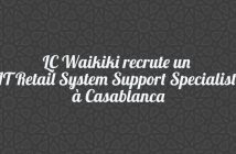 LC Waikiki recrute un IT Retail System Support Specialist