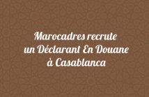 Déclarant En Douane