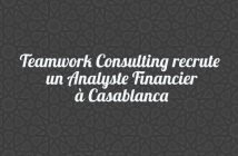 Teamwork-Consulting-recrute-un-Analyste-Financier