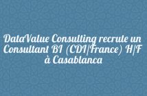 DataValue Consulting recrute un Consultant BI (CDI/France) H/F à Casablanca