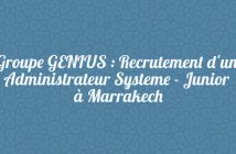 Groupe-GENIUS--Recrutement-dun-Administrateur-Systeme--Junior-Marrakech