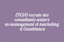 EFESO recrute des consultants seniors en management et marketing à Casablanca