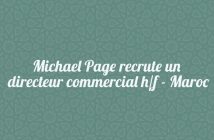 Michael Page recrute un directeur commercial h/f - Maroc