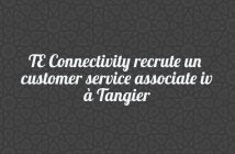 TE Connectivity recrute un customer service associate iv à Tangier