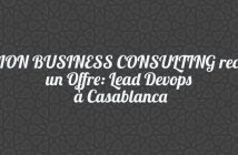 VISION BUSINESS CONSULTING recrute un Offre: Lead Devops à Casablanca