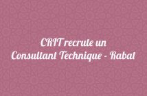 CRIT recrute un Consultant Technique