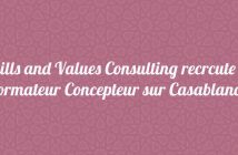 Skills and Values Consulting recrute