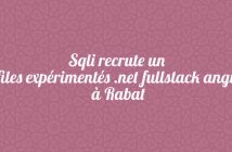 Sqli recrute un profiles expérimentés .net fullstack angular à Rabat