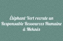 Éléphant Vert recrute un Responsable Ressources Humaine à Meknès