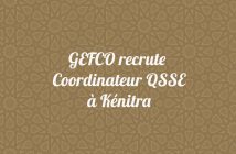 Coordinateur Qualité, Santé et Sécurité, et Environnement