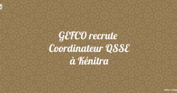 Coordinateur Qualité, Santé et Sécurité, et Environnement