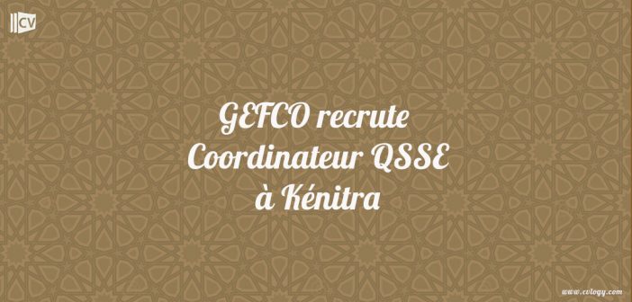 Coordinateur Qualité, Santé et Sécurité, et Environnement