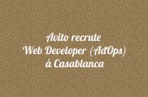 Web Developer (AdOps)