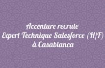 Expert Technique Salesforce (H/F)