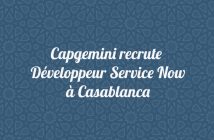 Développeur Service Now