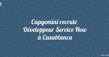 Développeur Service Now