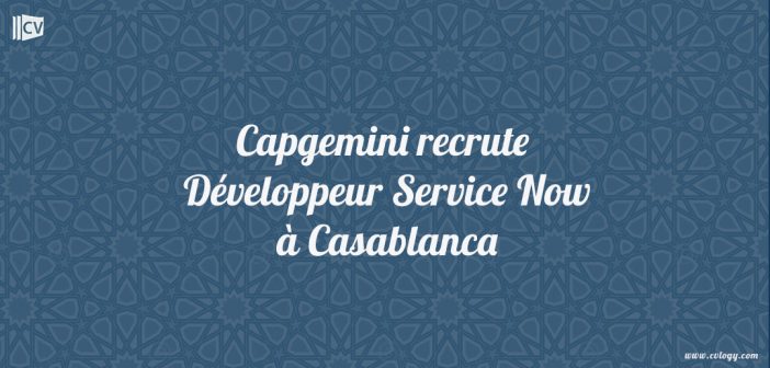 Développeur Service Now