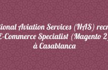 E-Commerce Specialist (Magento 2)