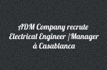 Electrical Engineer /Manager