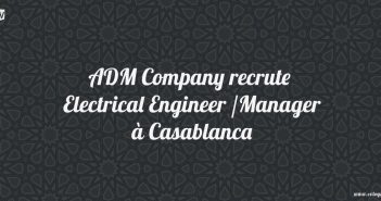 Electrical Engineer /Manager