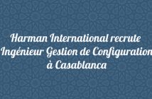 Ingénieur Gestion de Configuration