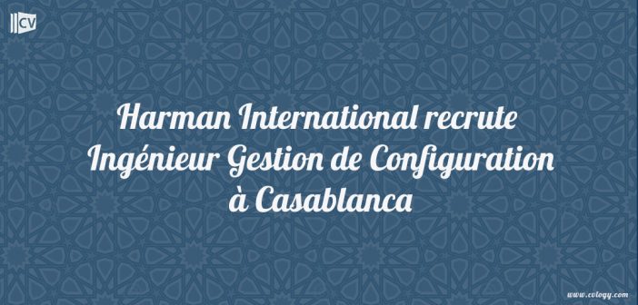 Ingénieur Gestion de Configuration