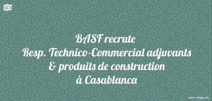 Responsable Technico-Commercial adjuvants & produits de construction - Région Sud du Maroc