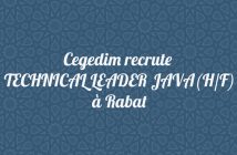 TECHNICAL LEADER JAVA