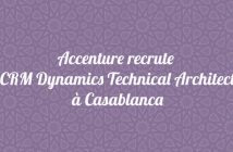 CRM Dynamics Technical Architect