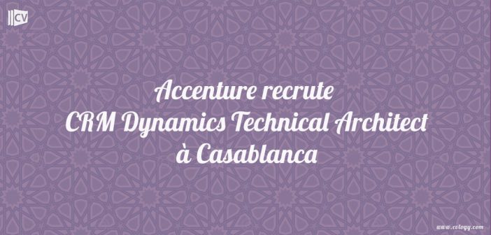 CRM Dynamics Technical Architect