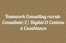 Consultant(E) Digital Et Contenu