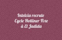 Cycle Hotliner Fixe