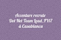 Dot Net Team Lead_FY17