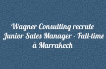 Junior Sales Manager - Full-time