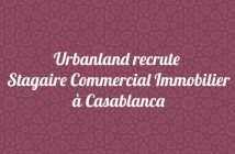 Stagaire Commercial Immobilier