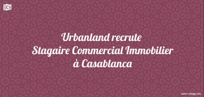 Stagaire Commercial Immobilier