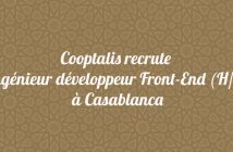 Ingénieur développeur Front-End (H/F)